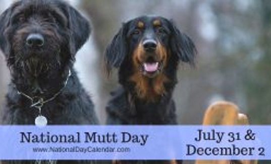national mutt day