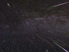 Perseid