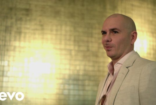 Pitbull