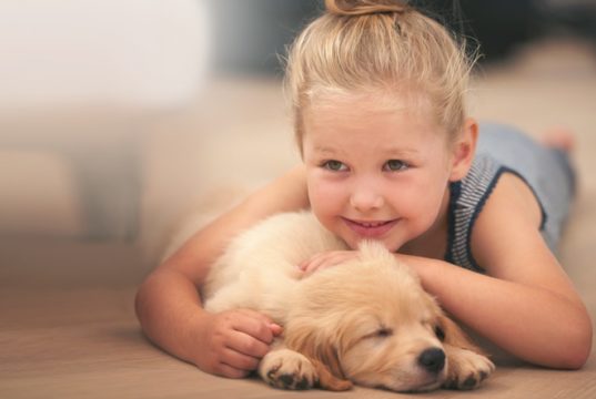 pet friendly