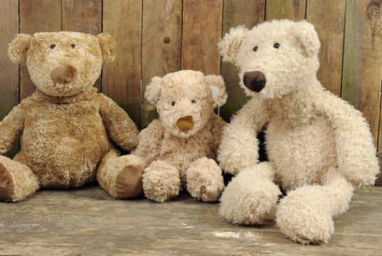 National Teddy Bear Day