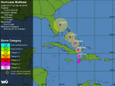 matthew now