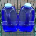 gallon-787382_1280