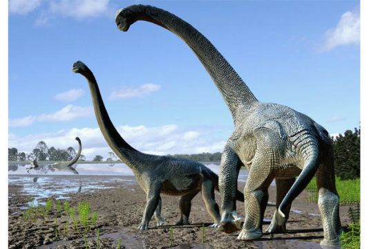 dinosaur