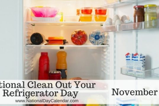 Clean Out Your Refrigerator Day