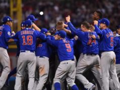 chicago cubs