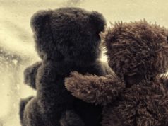 Hug a Bear Day