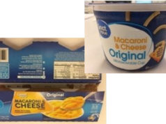 salmonella