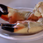 Large stone crab claws