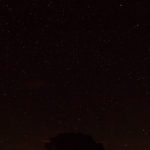 Night sky, Big Cypress National Preserve; best viewed full screen