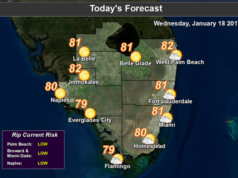 January Warmth