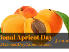 Apricot Day