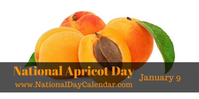 Apricot Day