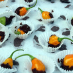 Chocolate covered datil peppers