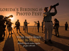 birding