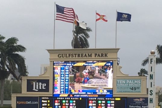 gulfstream
