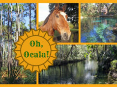 Ocala