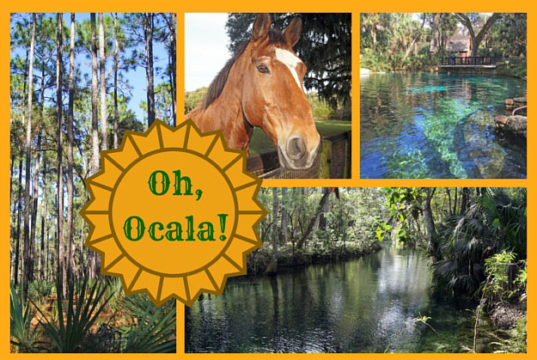 Ocala