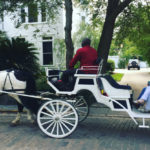 Try a romantic carriage ride through St. Augustine