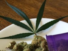 https://pixabay.com/photos/cannabis-sativa-marijuana-cannabis-1418328/