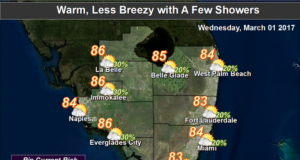 Summerlike Temperatures