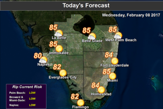 warm wednesday