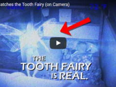 tooth fairy