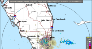 Scattered Showers