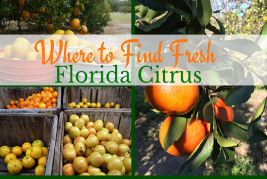 citrus