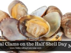 half shell