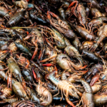 Screen-Shot-2015-11-01-at-6.36.06-PM