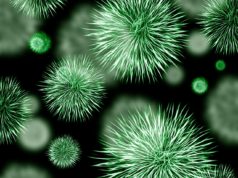 germs
