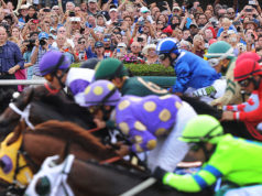 derby