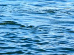 world water day