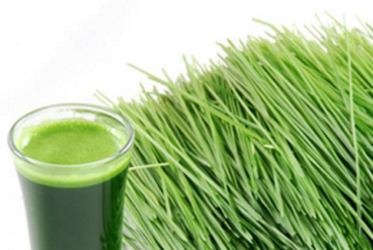 wheatgrass juice