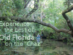 Chaz