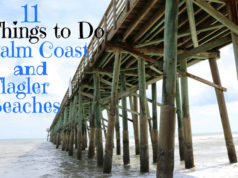 Flagler