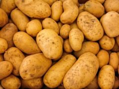 potato