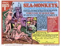 sea monkeys