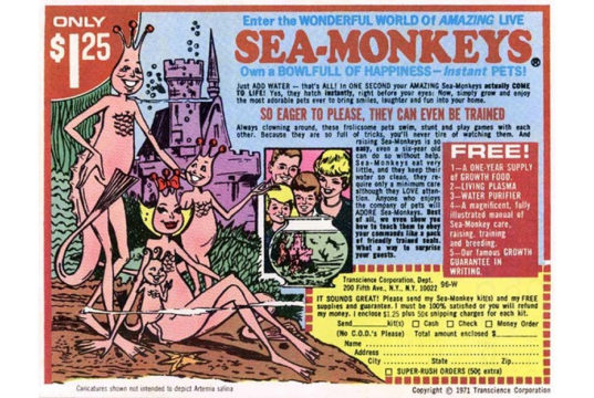 sea monkeys