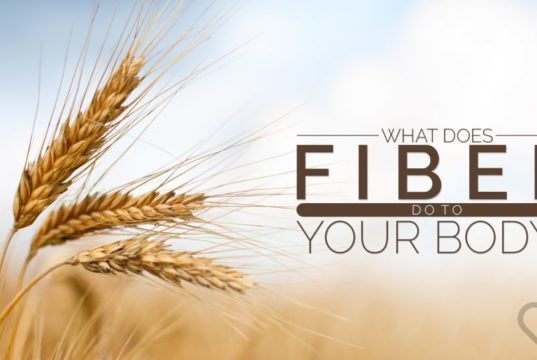 fiber