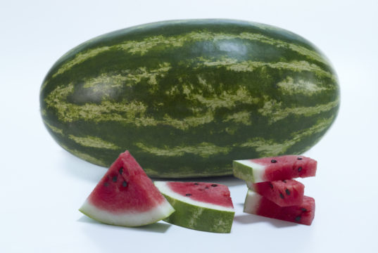 watermelon