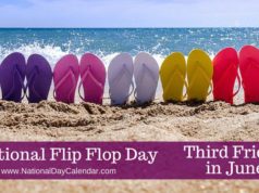flip-flops