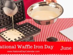 waffle iron day