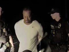 woods dui