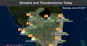 Sticky Low