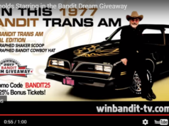 bandit
