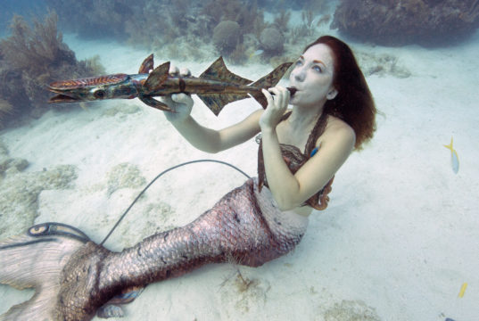 reef Protection