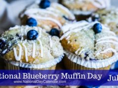 blueberry muffin day