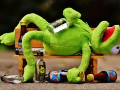 Kermit the frog